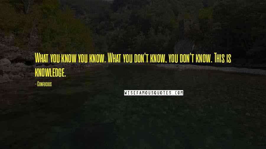 Confucius Quotes: What you know you know. What you don't know, you don't know. This is knowledge.