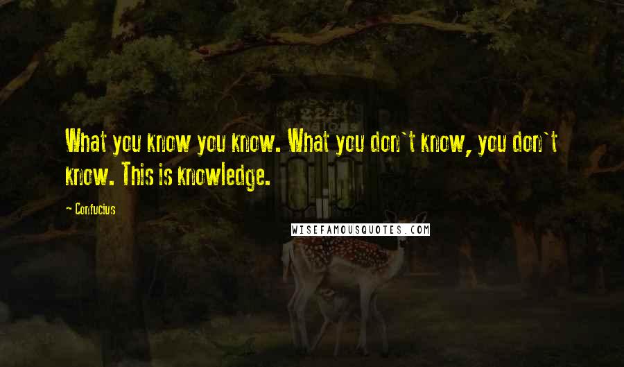 Confucius Quotes: What you know you know. What you don't know, you don't know. This is knowledge.