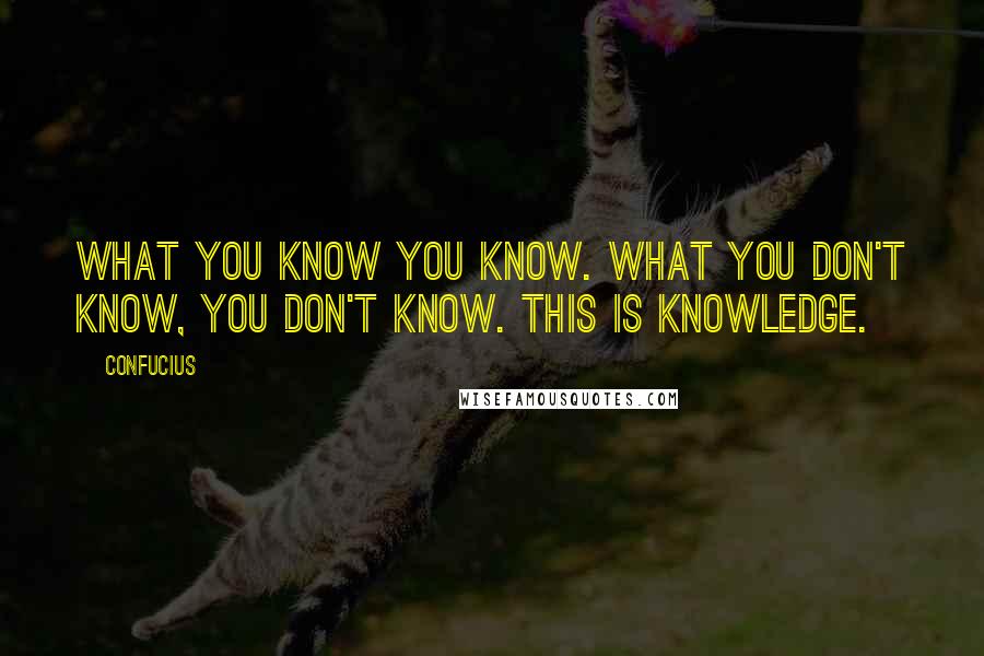 Confucius Quotes: What you know you know. What you don't know, you don't know. This is knowledge.