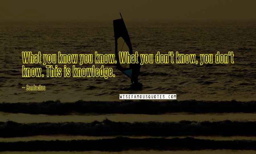 Confucius Quotes: What you know you know. What you don't know, you don't know. This is knowledge.