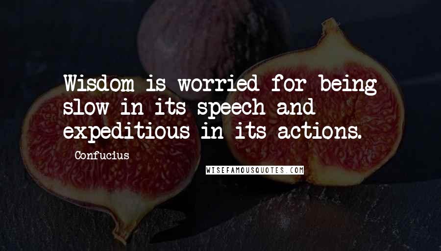 Confucius Quotes: Wisdom is worried for being slow in its speech and expeditious in its actions.