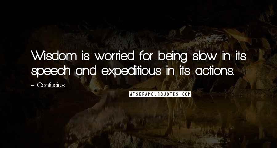 Confucius Quotes: Wisdom is worried for being slow in its speech and expeditious in its actions.