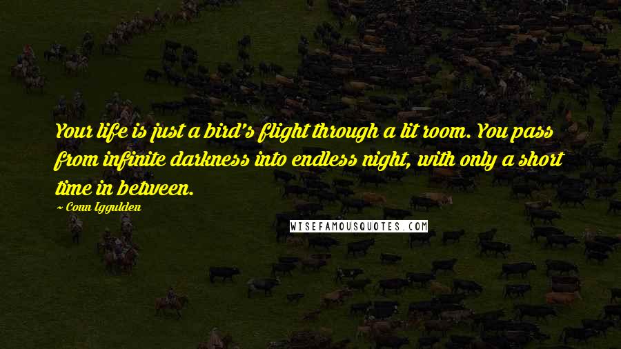Conn Iggulden Quotes: Your life is just a bird's flight through a lit room. You pass from infinite darkness into endless night, with only a short time in between.