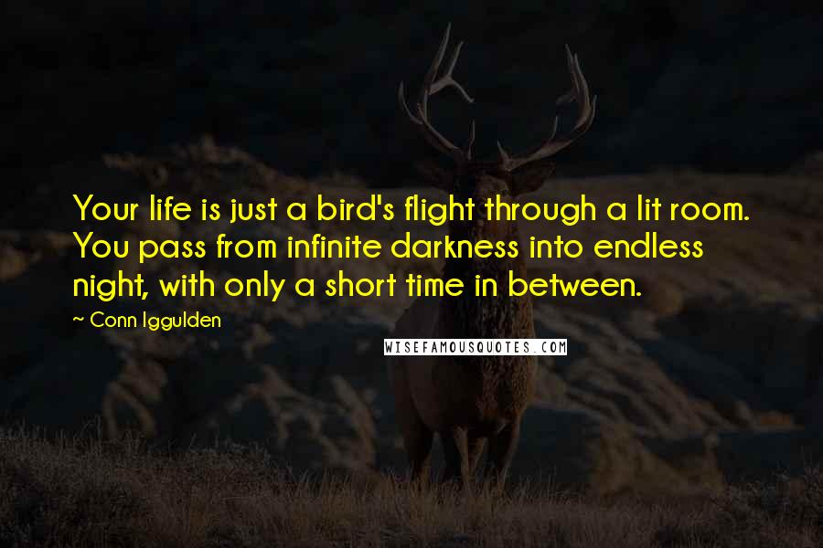 Conn Iggulden Quotes: Your life is just a bird's flight through a lit room. You pass from infinite darkness into endless night, with only a short time in between.