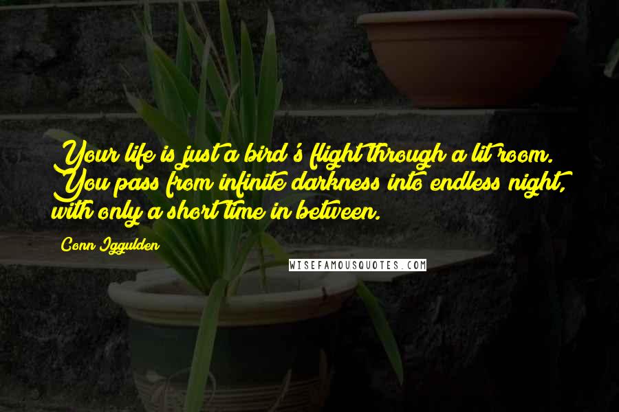 Conn Iggulden Quotes: Your life is just a bird's flight through a lit room. You pass from infinite darkness into endless night, with only a short time in between.
