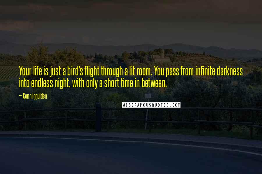Conn Iggulden Quotes: Your life is just a bird's flight through a lit room. You pass from infinite darkness into endless night, with only a short time in between.