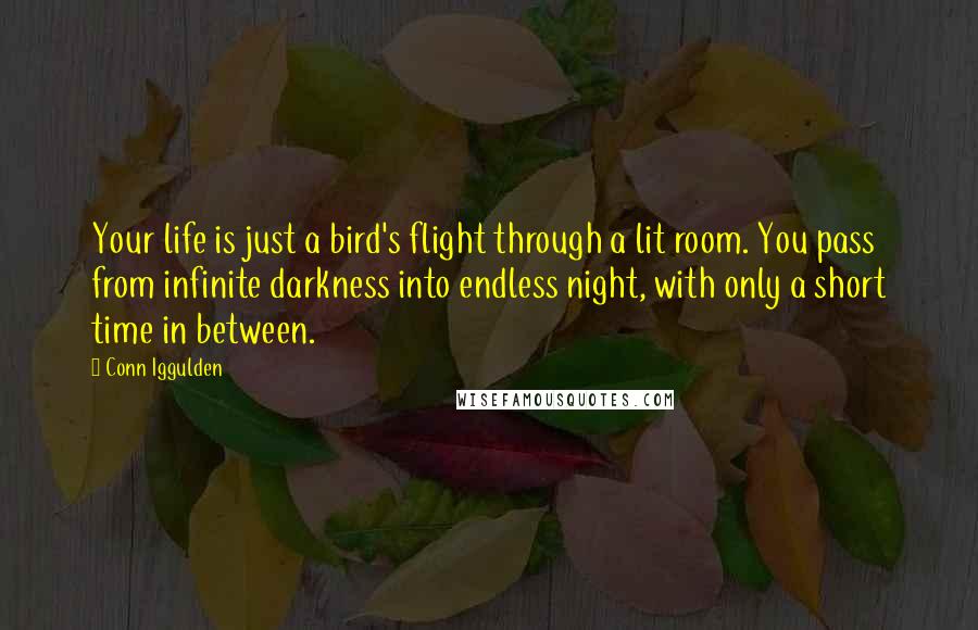 Conn Iggulden Quotes: Your life is just a bird's flight through a lit room. You pass from infinite darkness into endless night, with only a short time in between.