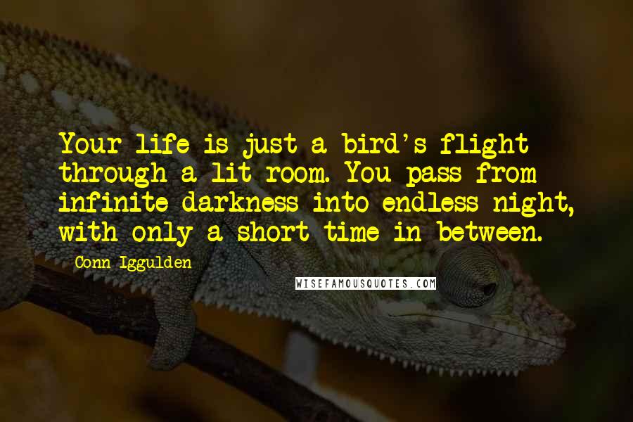 Conn Iggulden Quotes: Your life is just a bird's flight through a lit room. You pass from infinite darkness into endless night, with only a short time in between.