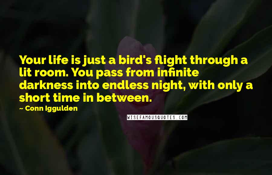 Conn Iggulden Quotes: Your life is just a bird's flight through a lit room. You pass from infinite darkness into endless night, with only a short time in between.