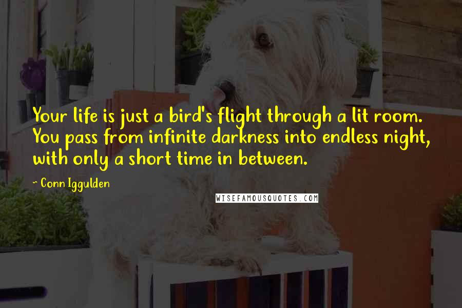 Conn Iggulden Quotes: Your life is just a bird's flight through a lit room. You pass from infinite darkness into endless night, with only a short time in between.
