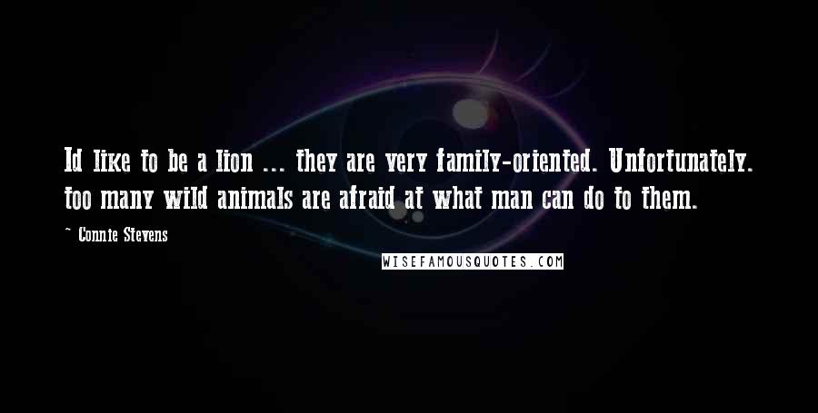 Connie Stevens Quotes: Id like to be a lion ... they are very family-oriented. Unfortunately. too many wild animals are afraid at what man can do to them.