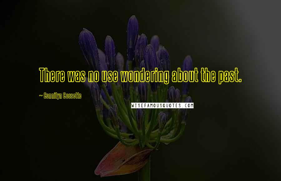 Connilyn Cossette Quotes: There was no use wondering about the past.