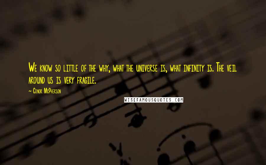 Conor McPherson Quotes: We know so little of the why, what the universe is, what infinity is. The veil around us is very fragile.