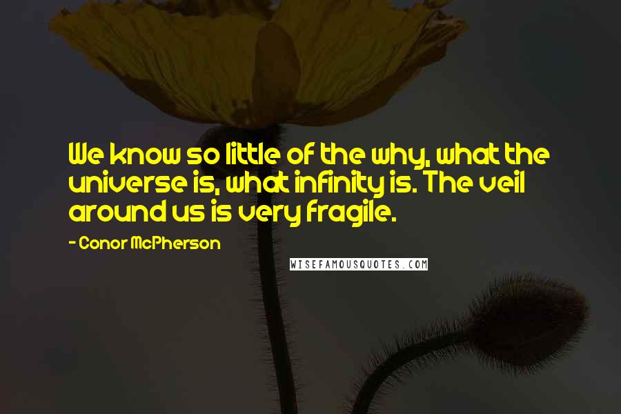 Conor McPherson Quotes: We know so little of the why, what the universe is, what infinity is. The veil around us is very fragile.