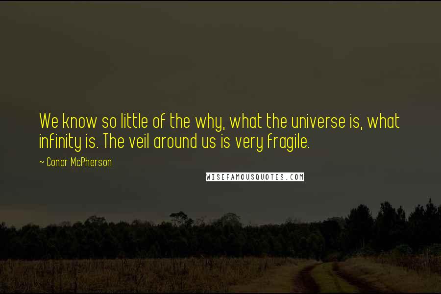 Conor McPherson Quotes: We know so little of the why, what the universe is, what infinity is. The veil around us is very fragile.