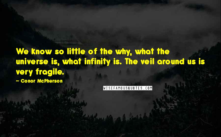 Conor McPherson Quotes: We know so little of the why, what the universe is, what infinity is. The veil around us is very fragile.