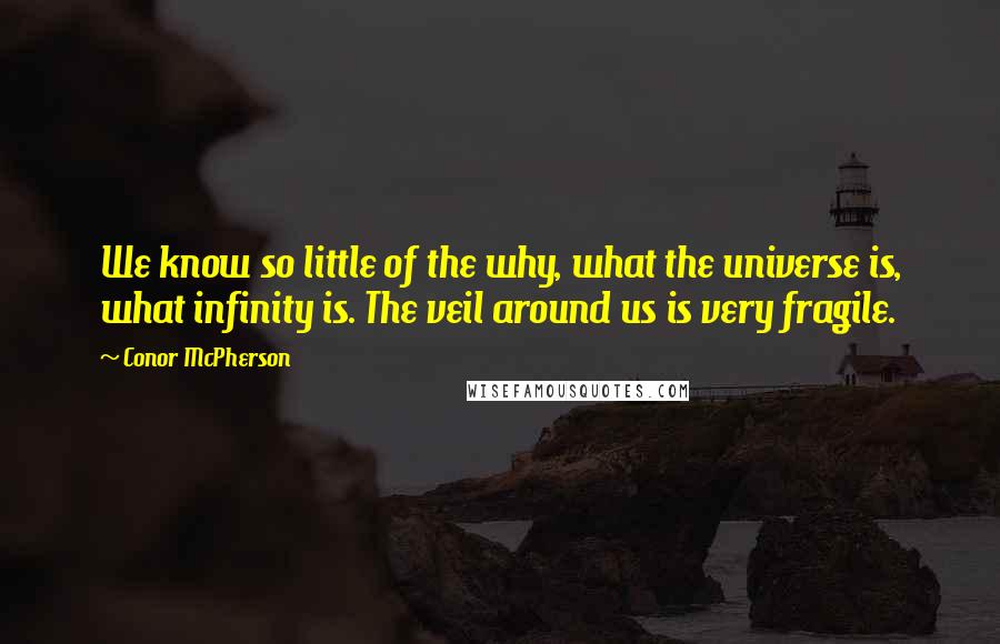 Conor McPherson Quotes: We know so little of the why, what the universe is, what infinity is. The veil around us is very fragile.