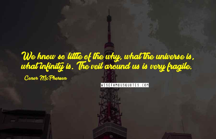 Conor McPherson Quotes: We know so little of the why, what the universe is, what infinity is. The veil around us is very fragile.