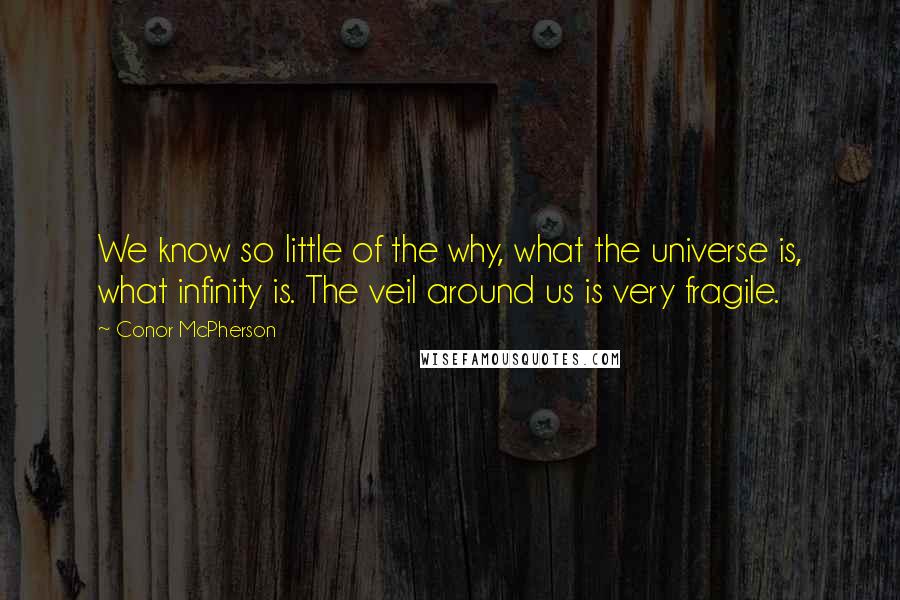 Conor McPherson Quotes: We know so little of the why, what the universe is, what infinity is. The veil around us is very fragile.