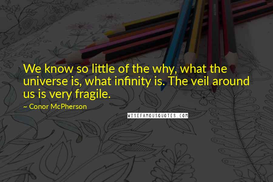 Conor McPherson Quotes: We know so little of the why, what the universe is, what infinity is. The veil around us is very fragile.