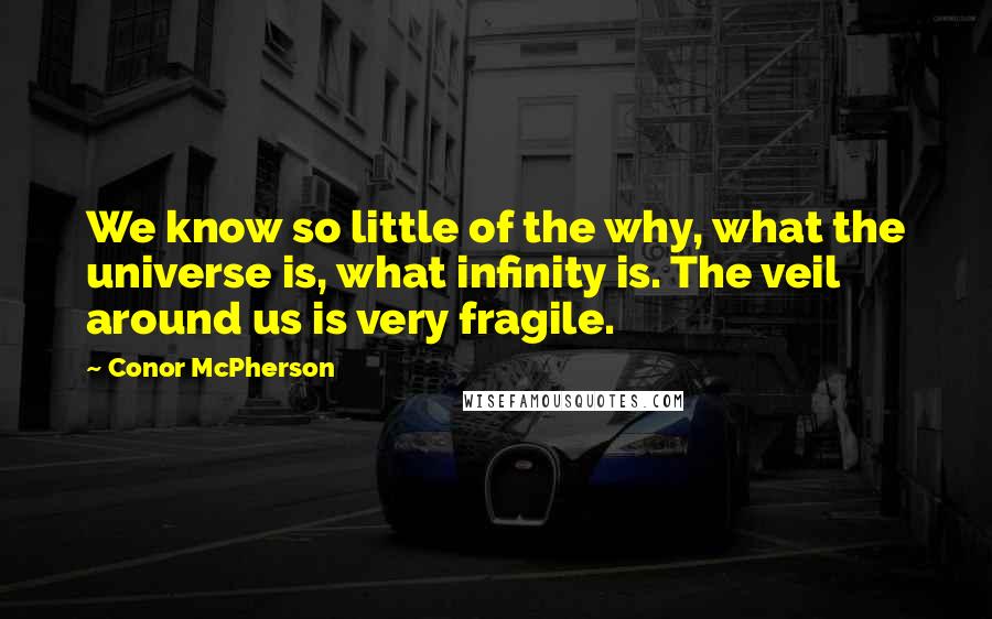 Conor McPherson Quotes: We know so little of the why, what the universe is, what infinity is. The veil around us is very fragile.