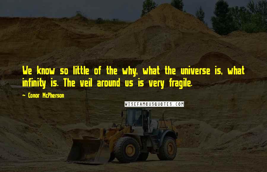 Conor McPherson Quotes: We know so little of the why, what the universe is, what infinity is. The veil around us is very fragile.