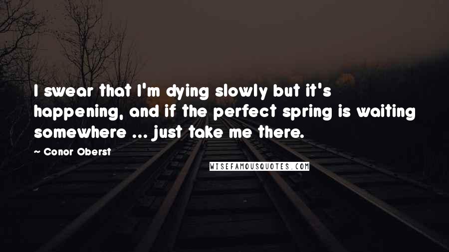 Conor Oberst Quotes: I swear that I'm dying slowly but it's happening, and if the perfect spring is waiting somewhere ... just take me there.