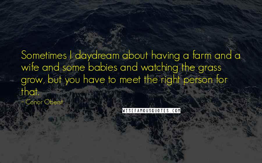 Conor Oberst Quotes: Sometimes I daydream about having a farm and a wife and some babies and watching the grass grow, but you have to meet the right person for that.