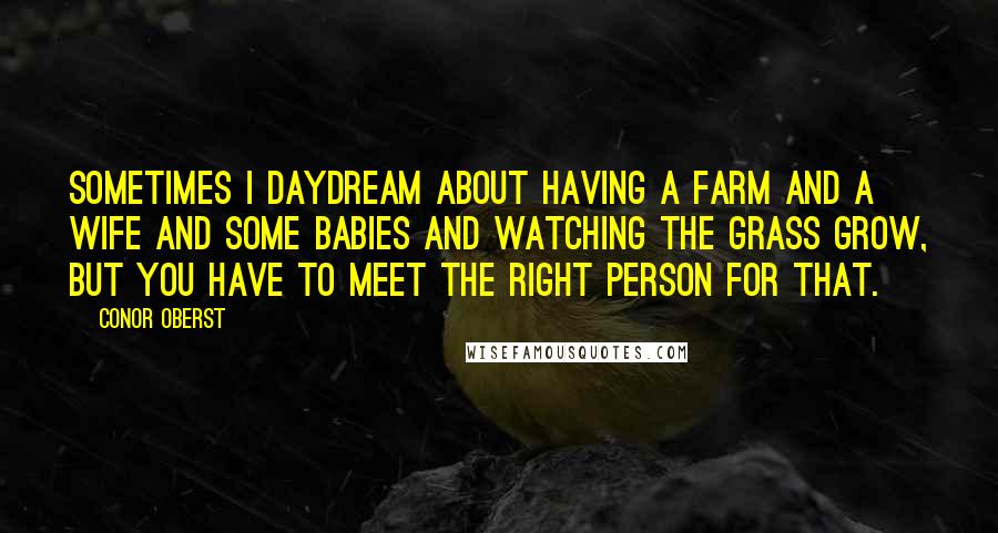 Conor Oberst Quotes: Sometimes I daydream about having a farm and a wife and some babies and watching the grass grow, but you have to meet the right person for that.