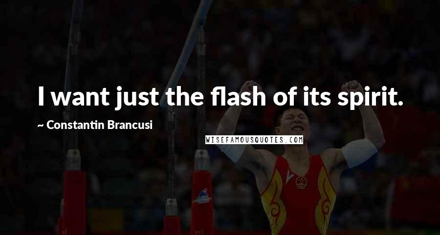 Constantin Brancusi Quotes: I want just the flash of its spirit.