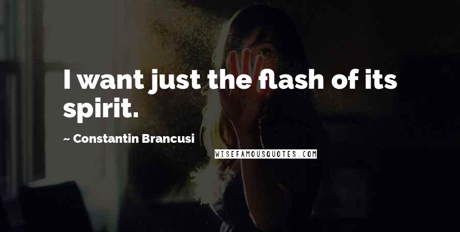 Constantin Brancusi Quotes: I want just the flash of its spirit.