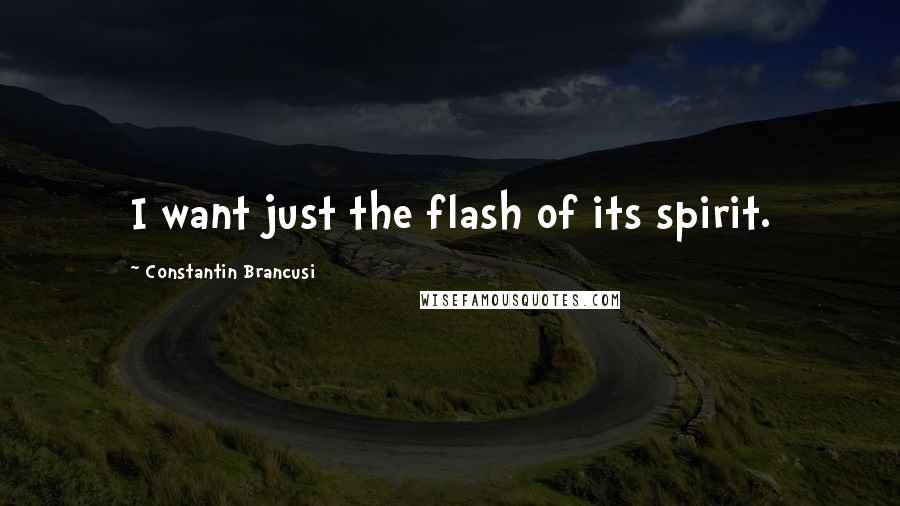 Constantin Brancusi Quotes: I want just the flash of its spirit.