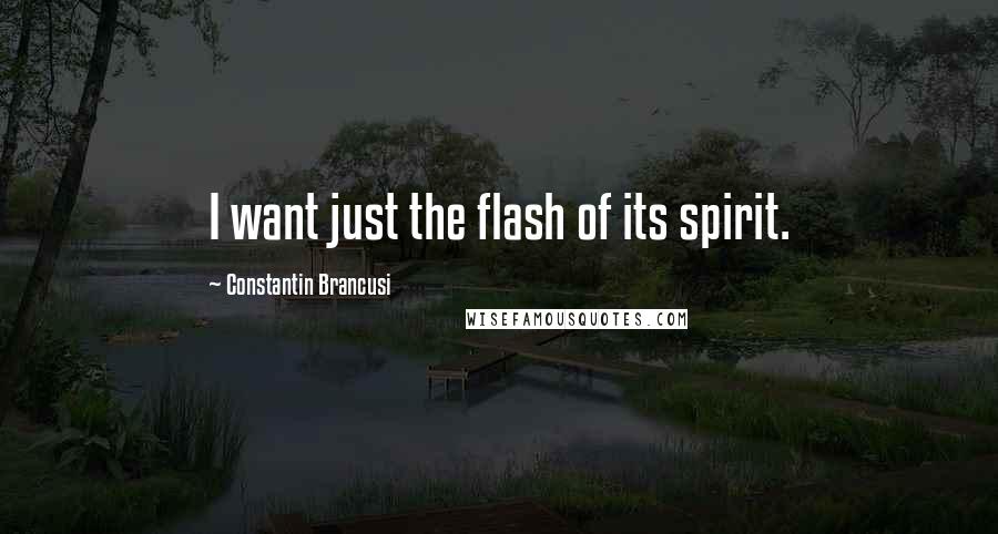 Constantin Brancusi Quotes: I want just the flash of its spirit.