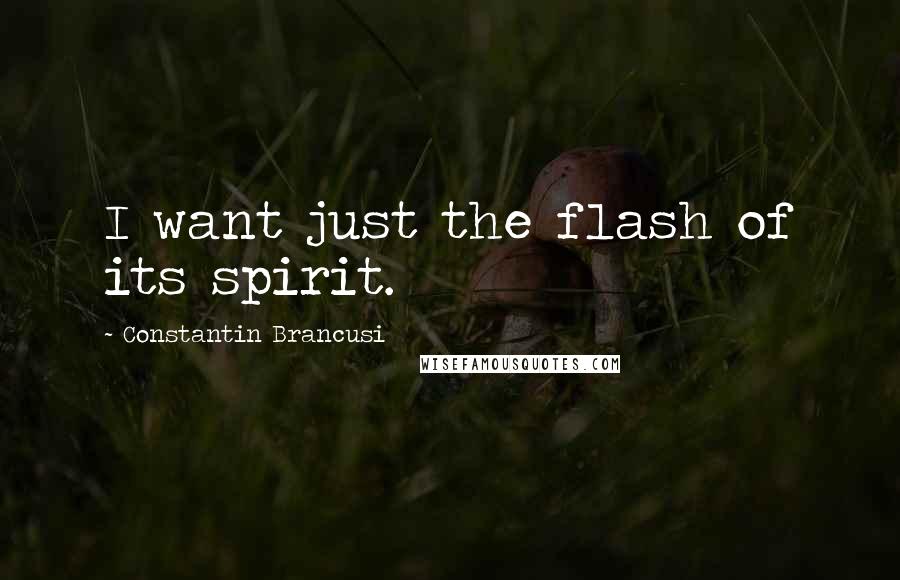 Constantin Brancusi Quotes: I want just the flash of its spirit.