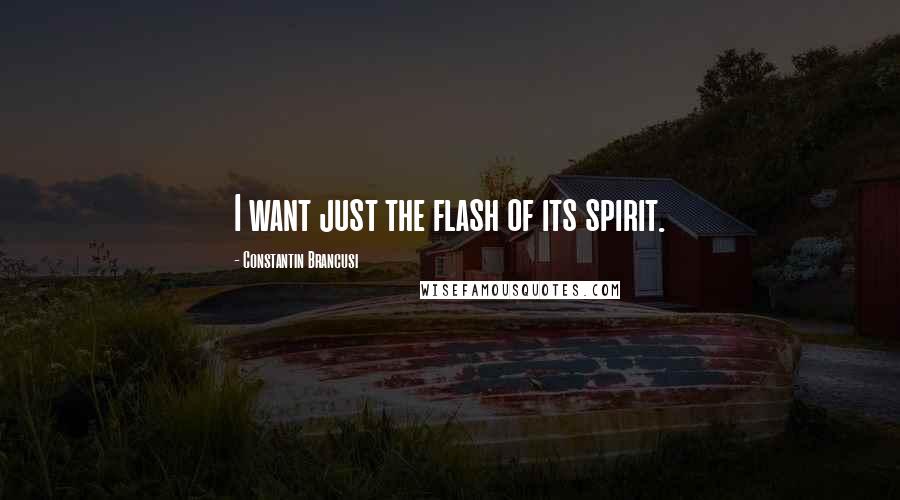 Constantin Brancusi Quotes: I want just the flash of its spirit.