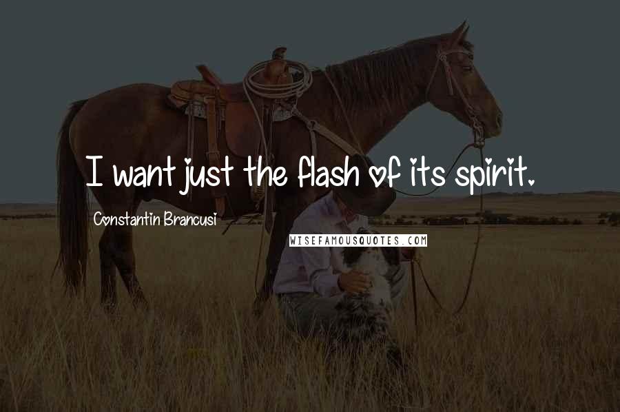 Constantin Brancusi Quotes: I want just the flash of its spirit.