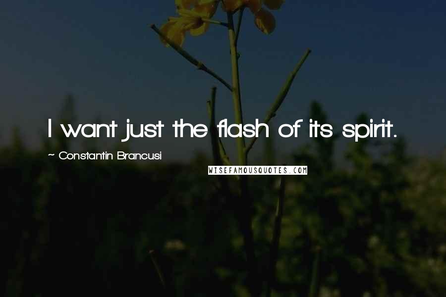 Constantin Brancusi Quotes: I want just the flash of its spirit.