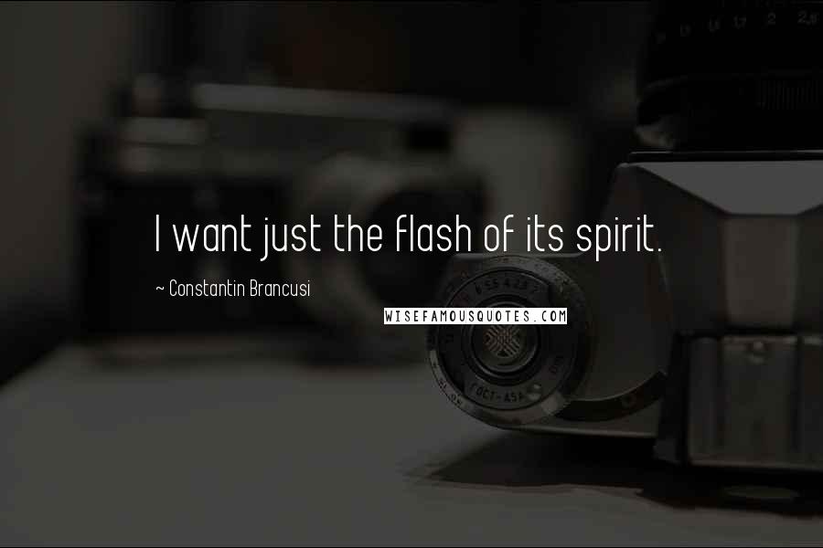 Constantin Brancusi Quotes: I want just the flash of its spirit.