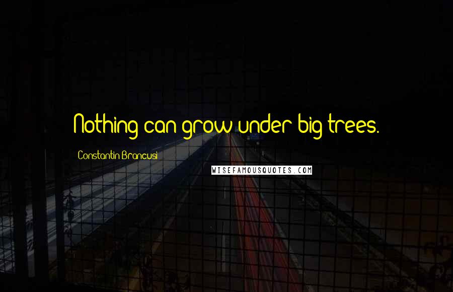 Constantin Brancusi Quotes: Nothing can grow under big trees.