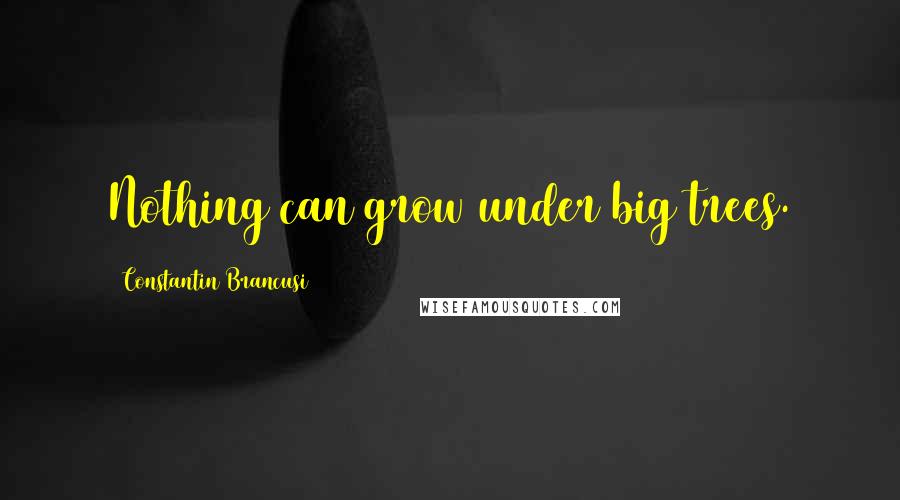 Constantin Brancusi Quotes: Nothing can grow under big trees.