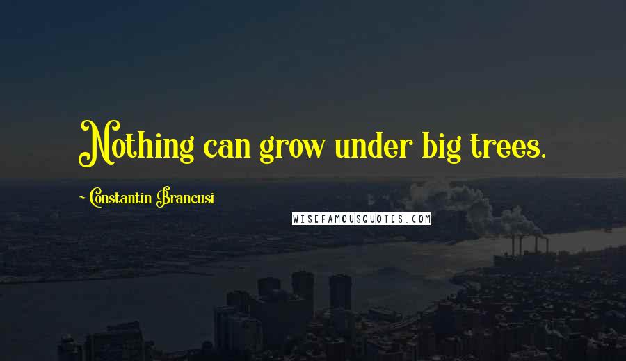 Constantin Brancusi Quotes: Nothing can grow under big trees.