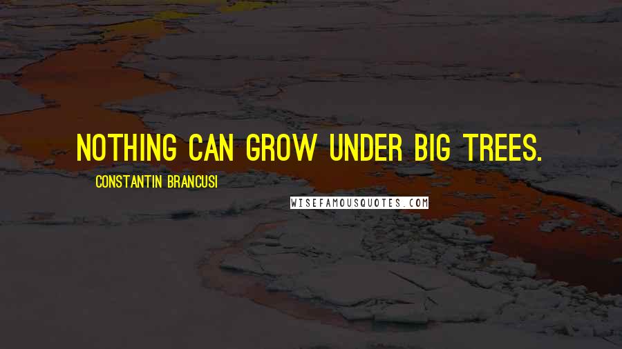 Constantin Brancusi Quotes: Nothing can grow under big trees.