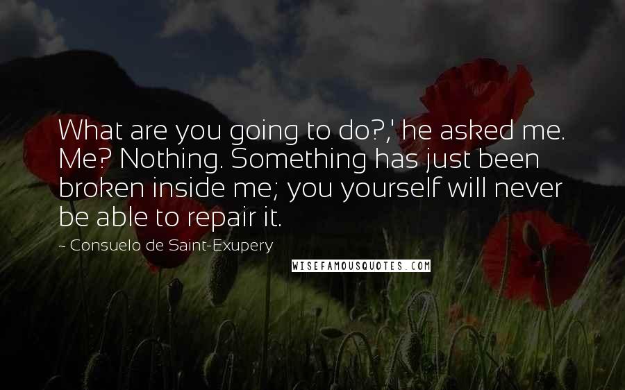 Consuelo De Saint-Exupery Quotes: What are you going to do?,' he asked me. Me? Nothing. Something has just been broken inside me; you yourself will never be able to repair it.
