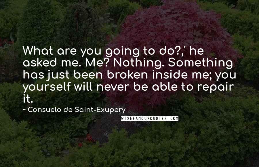 Consuelo De Saint-Exupery Quotes: What are you going to do?,' he asked me. Me? Nothing. Something has just been broken inside me; you yourself will never be able to repair it.