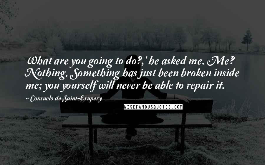 Consuelo De Saint-Exupery Quotes: What are you going to do?,' he asked me. Me? Nothing. Something has just been broken inside me; you yourself will never be able to repair it.