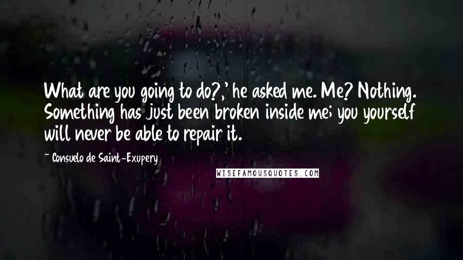 Consuelo De Saint-Exupery Quotes: What are you going to do?,' he asked me. Me? Nothing. Something has just been broken inside me; you yourself will never be able to repair it.