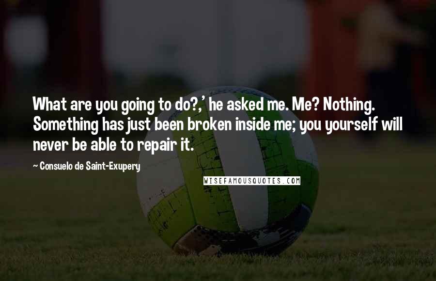 Consuelo De Saint-Exupery Quotes: What are you going to do?,' he asked me. Me? Nothing. Something has just been broken inside me; you yourself will never be able to repair it.