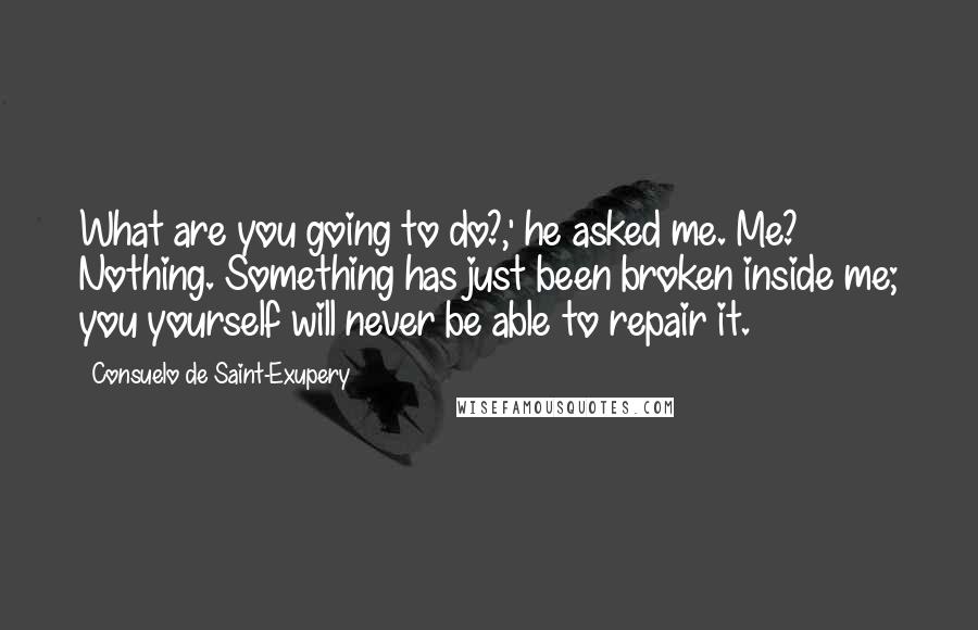 Consuelo De Saint-Exupery Quotes: What are you going to do?,' he asked me. Me? Nothing. Something has just been broken inside me; you yourself will never be able to repair it.