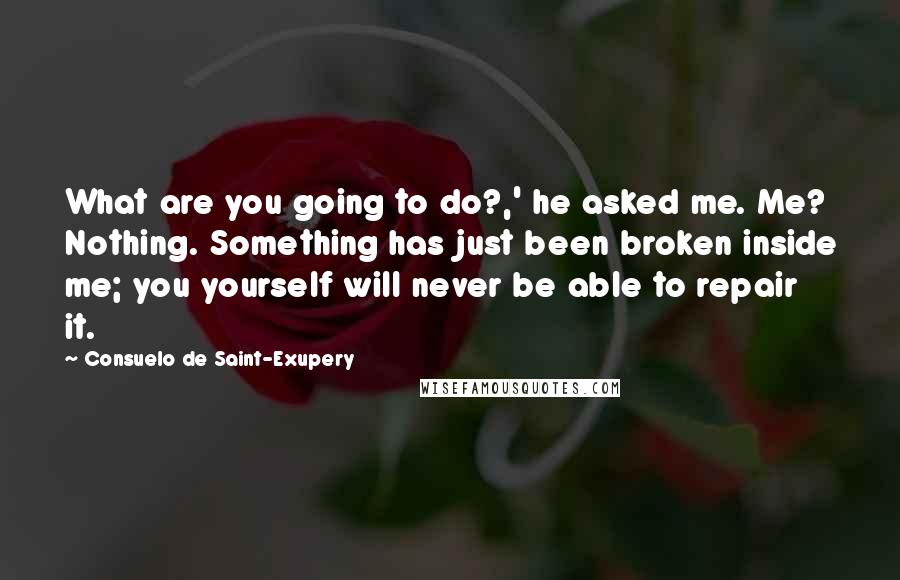 Consuelo De Saint-Exupery Quotes: What are you going to do?,' he asked me. Me? Nothing. Something has just been broken inside me; you yourself will never be able to repair it.