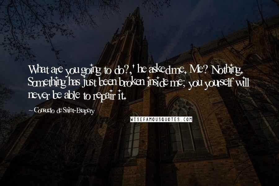 Consuelo De Saint-Exupery Quotes: What are you going to do?,' he asked me. Me? Nothing. Something has just been broken inside me; you yourself will never be able to repair it.